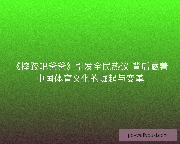 《摔跤吧爸爸》引发全民热议 背后藏着中国体育文化的崛起与变革 《摔跤吧爸爸》引发全民热议 背后藏着中国体育文化的崛起与变革
