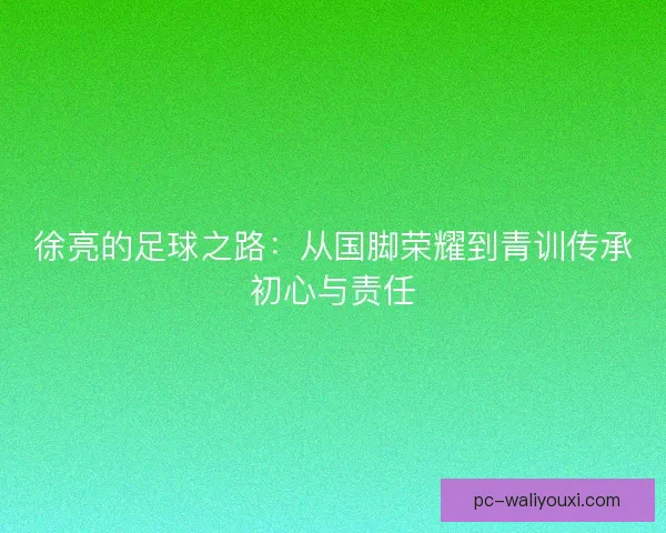 徐亮的足球之路：从国脚荣耀到青训传承初心与责任
