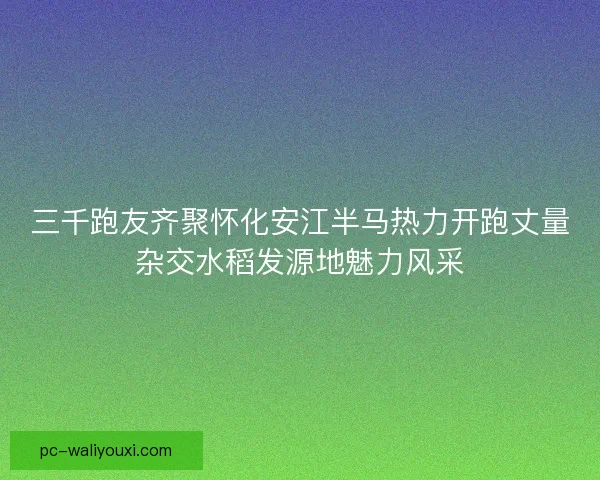 三千跑友齐聚怀化安江半马热力开跑丈量杂交水稻发源地魅力风采